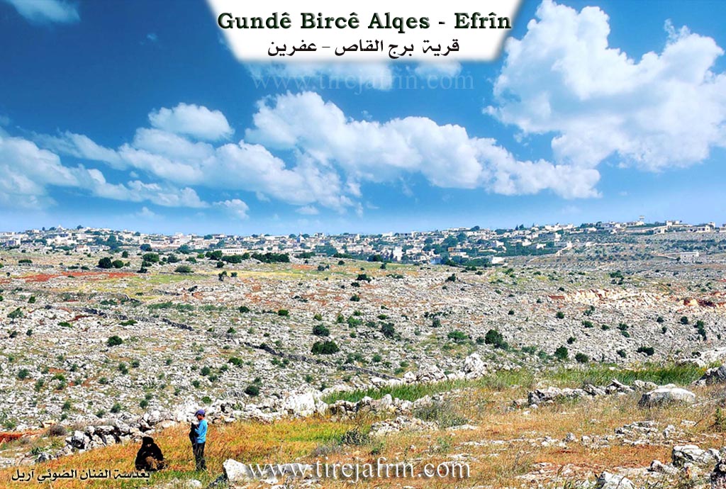 Photo of Bircilqazê